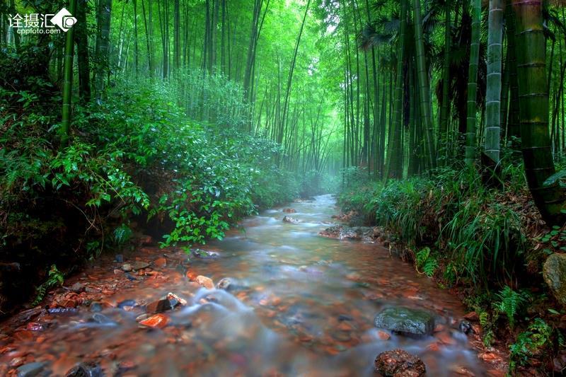 枪弹地牢