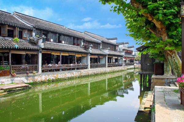临沂市城管局园林环卫中心柳杭管理办:巧用竹篱笆,围出田园风