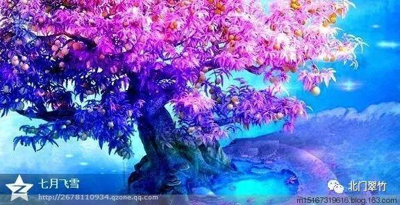 波西亚时光