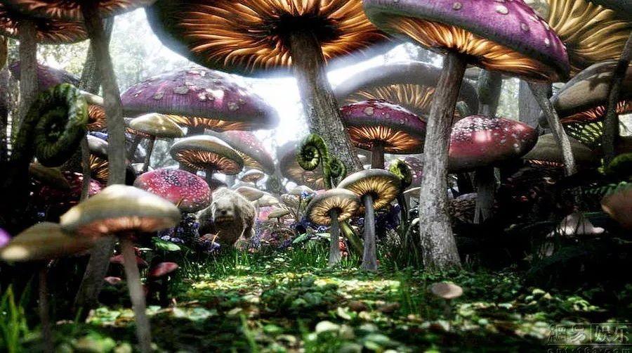 爱情中双方经济付出不对等，那ta是爱你的吗？游戏画面